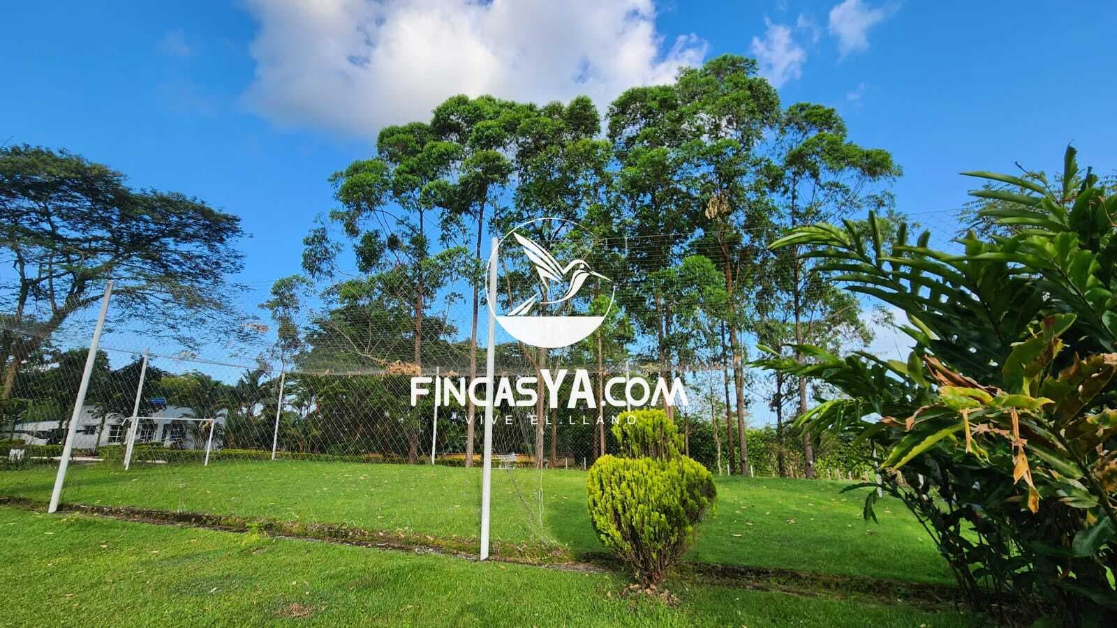 Restrepo Villa Triana - Imagen 9