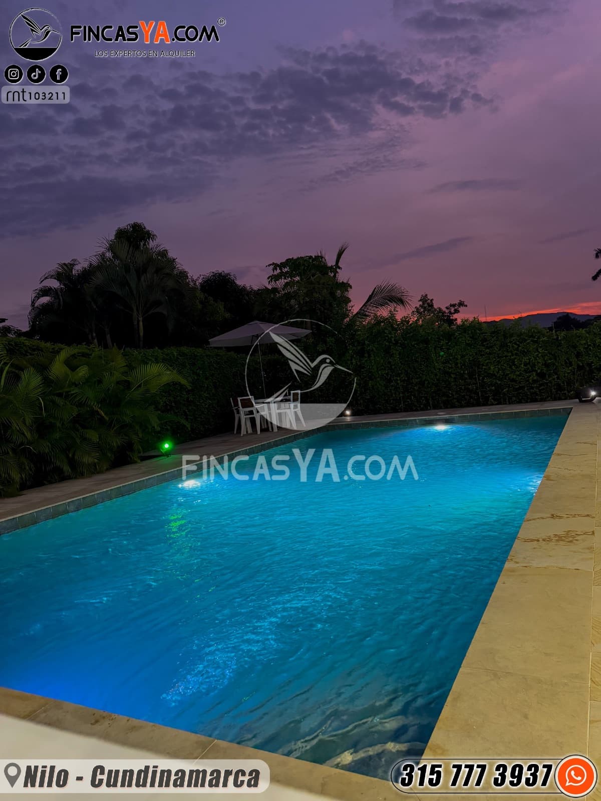 Nilo Prestige Home - Imagen 10